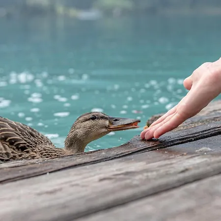 Konukevi Winkler-tuschnig