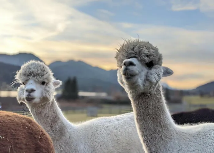 Πανσιόν Winkler-tuschnig