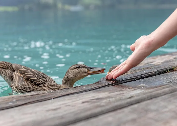 Gasthuis Winkler-tuschnig